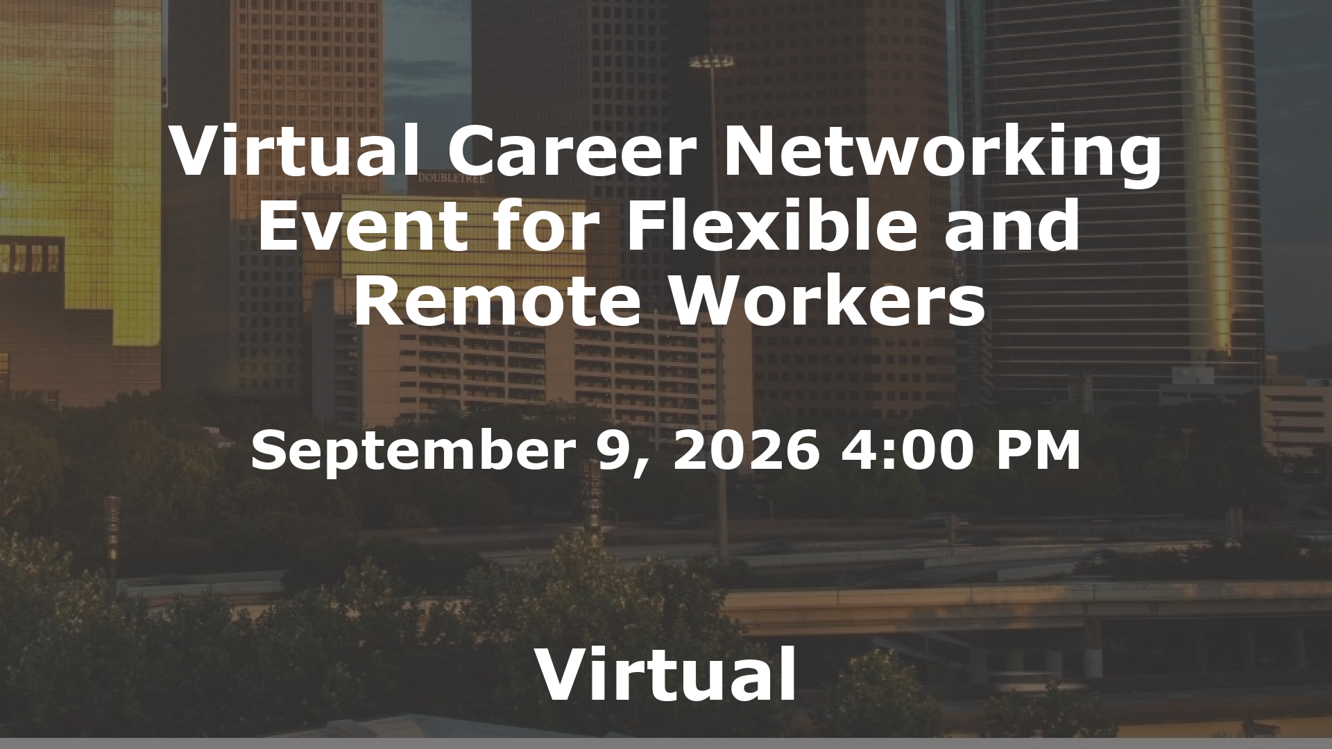 Virtual Career Networking Event for Flexible and Remote Workers event image
